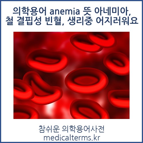 의학용어 anemia 뜻 아네미아, 철 결핍성 빈혈, 생리중 어지러워요